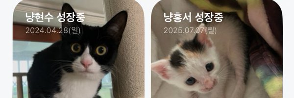 HSnyangs Profile Banner