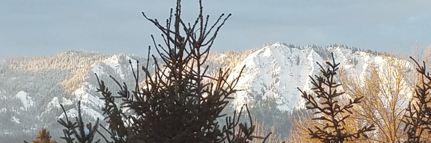 miedemas39's profile banner image