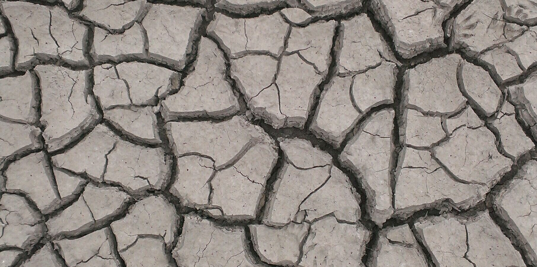 aaronmillskc's profile banner image