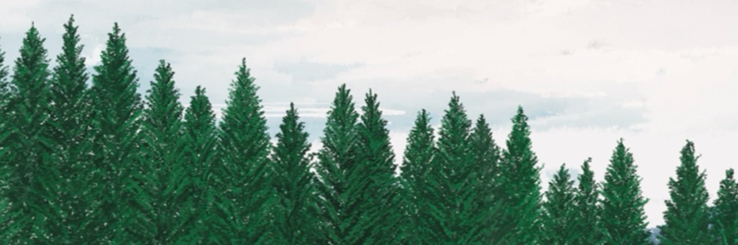 ppxymt's profile banner image