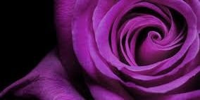 marijkeickke's profile banner image