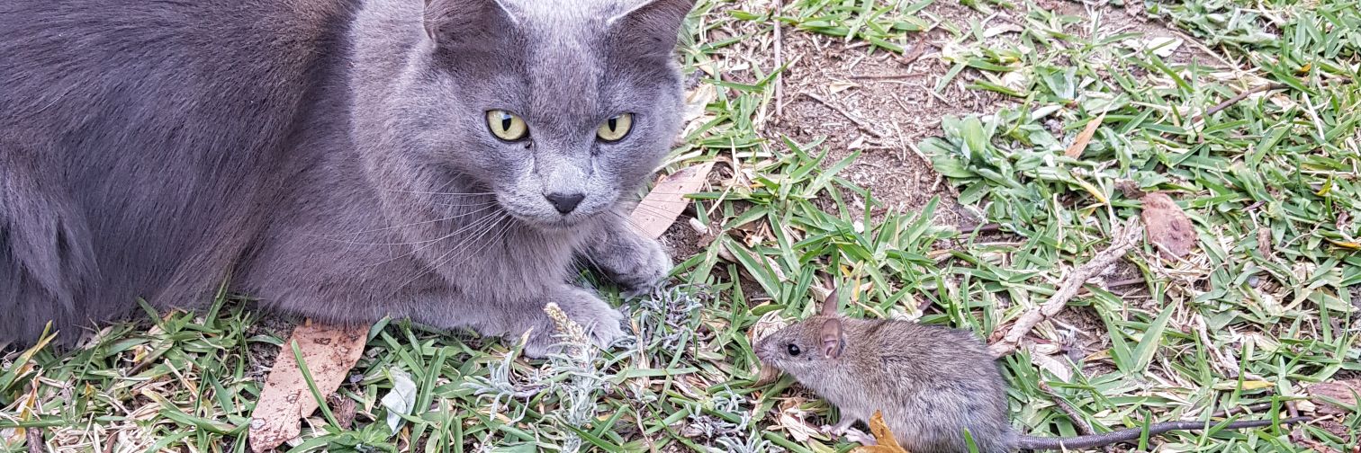 murraybatchelor's profile banner image