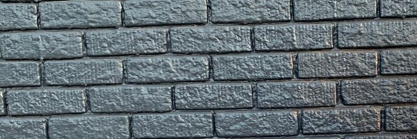 AmeliaMN Profile Banner