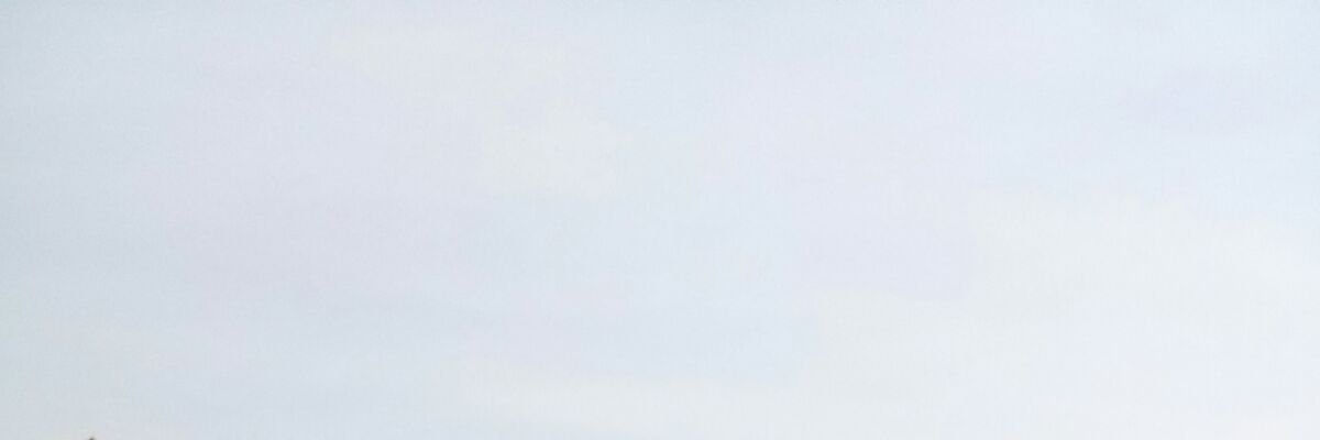 mnawee97's profile banner image