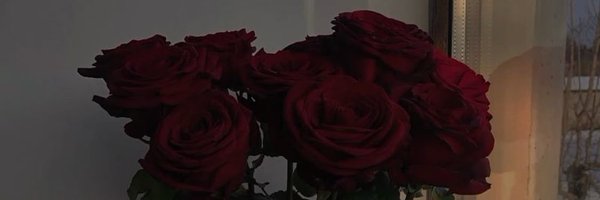 DailyClaireF Profile Banner