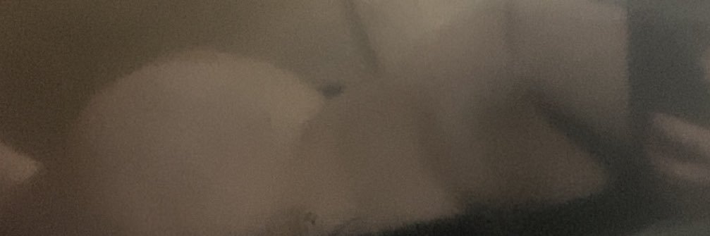 goddess_shri's profile banner image
