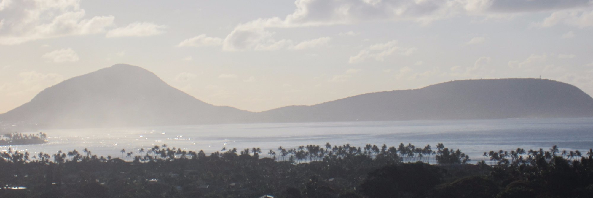 MikeBui's profile banner image