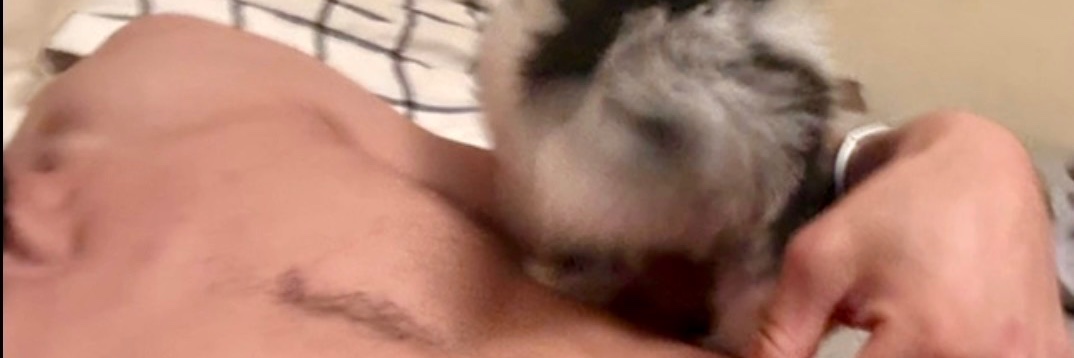 Braindopperrr's profile banner image