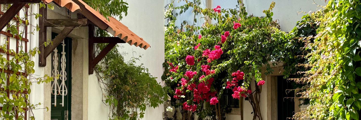 flower banner