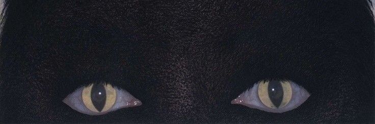 𝑴𝒂𝒍𝒆𝒛 banner