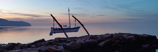 ErikaPlaninsec Profile Banner