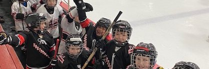 NLYHA - Northern Lakes Youth Hockey Association banner