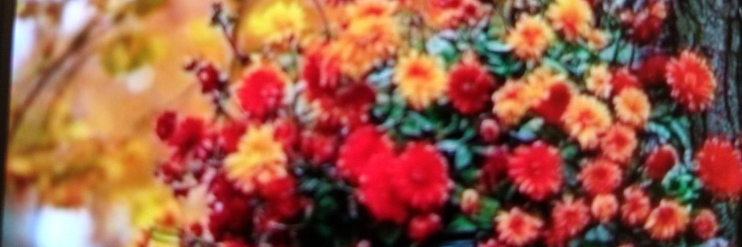 AhtZmp55378's profile banner image