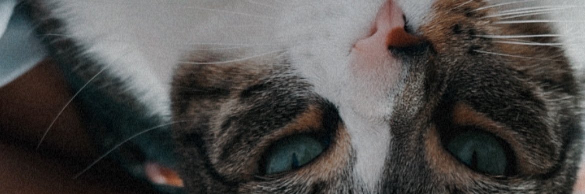 Jaajandra's profile banner image