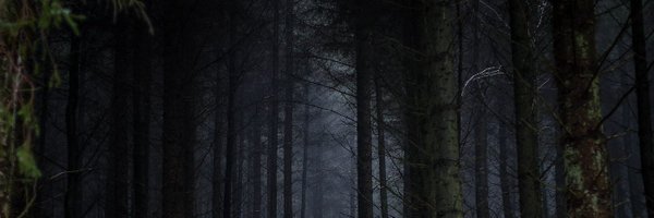Thick_B0ned Profile Banner