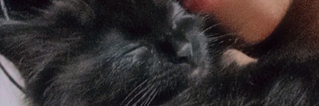 MilenaJZ's profile banner image