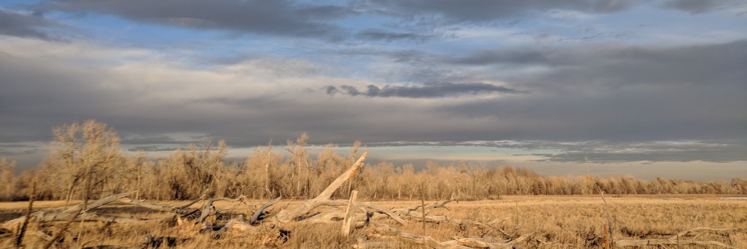 DebbieAnneVance's profile banner image