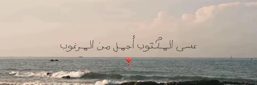 H 🌺 banner