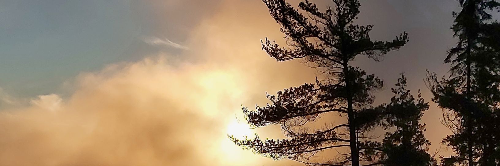 Rick_Batchelor's profile banner image