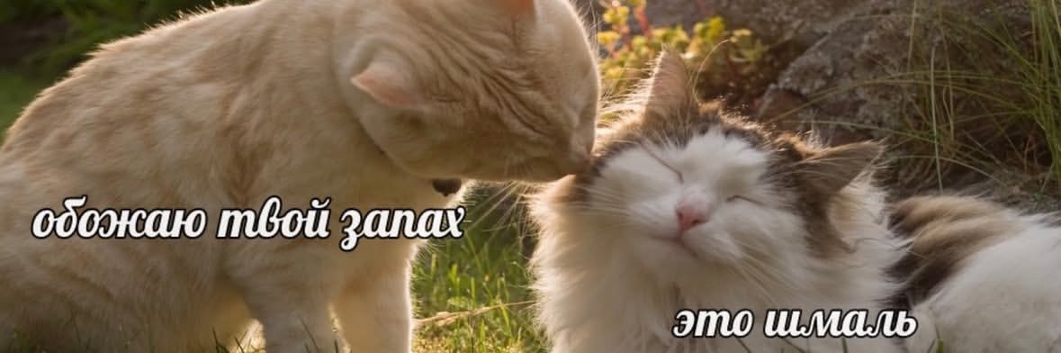 Я БЛЯ ВОДНЫЙ СТАДИОН banner