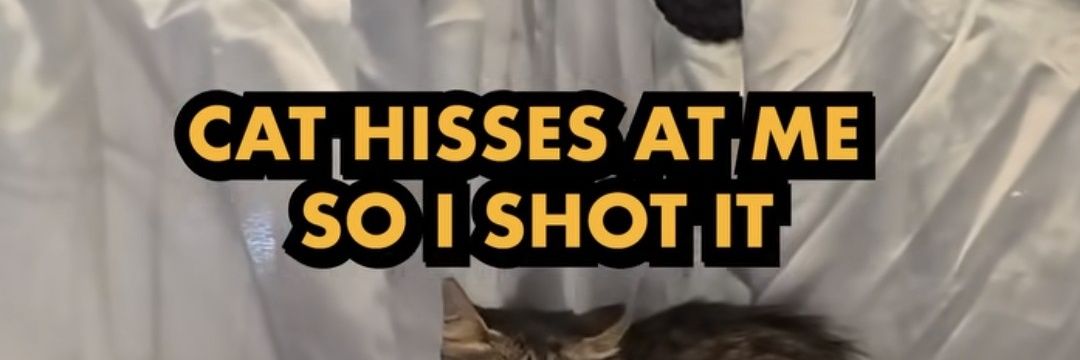 ihradd's profile banner image