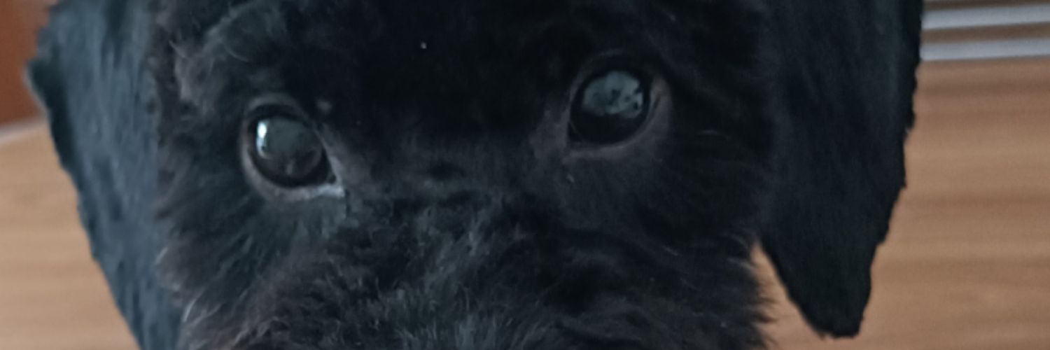 hy11220210's profile banner image