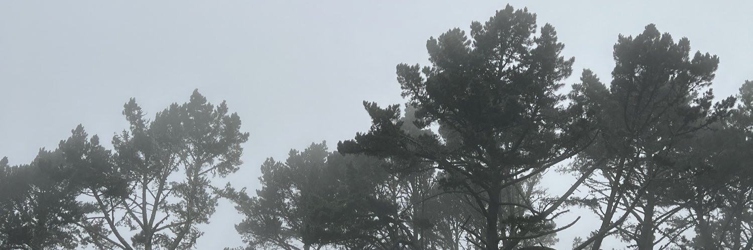 KirktheWilliams banner