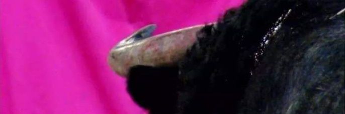 𝗔𝗹𝗶𝗰𝗶𝗮 𝗧𝗮𝘂𝗿𝗶𝗻𝗮. banner