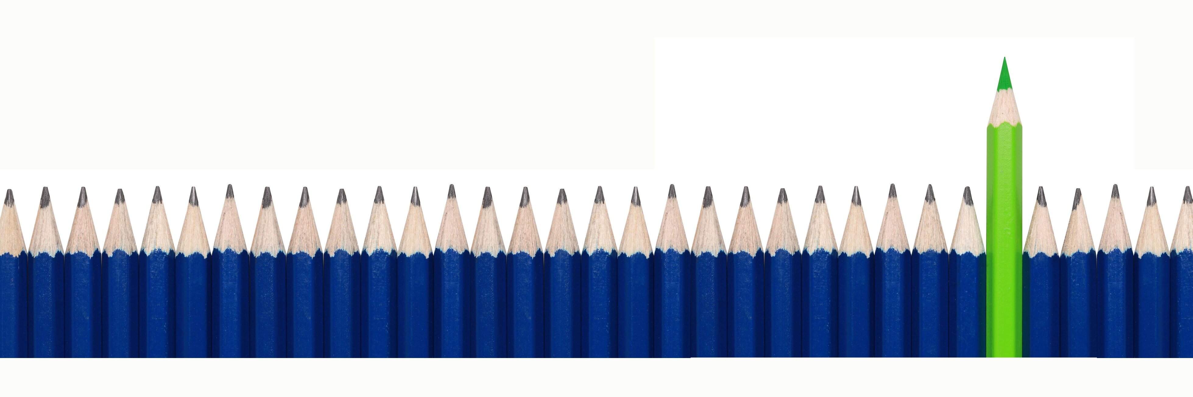 EverLearnTweets's profile banner image