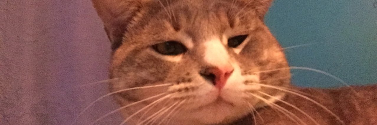 devonlynn1218's profile banner image
