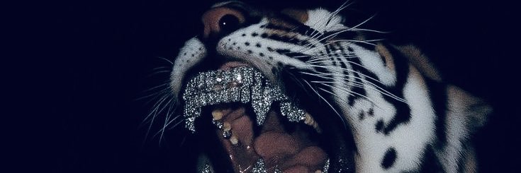 ladiiari's profile banner image