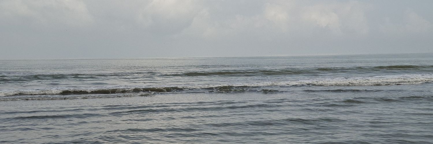 گلبول صورتی banner