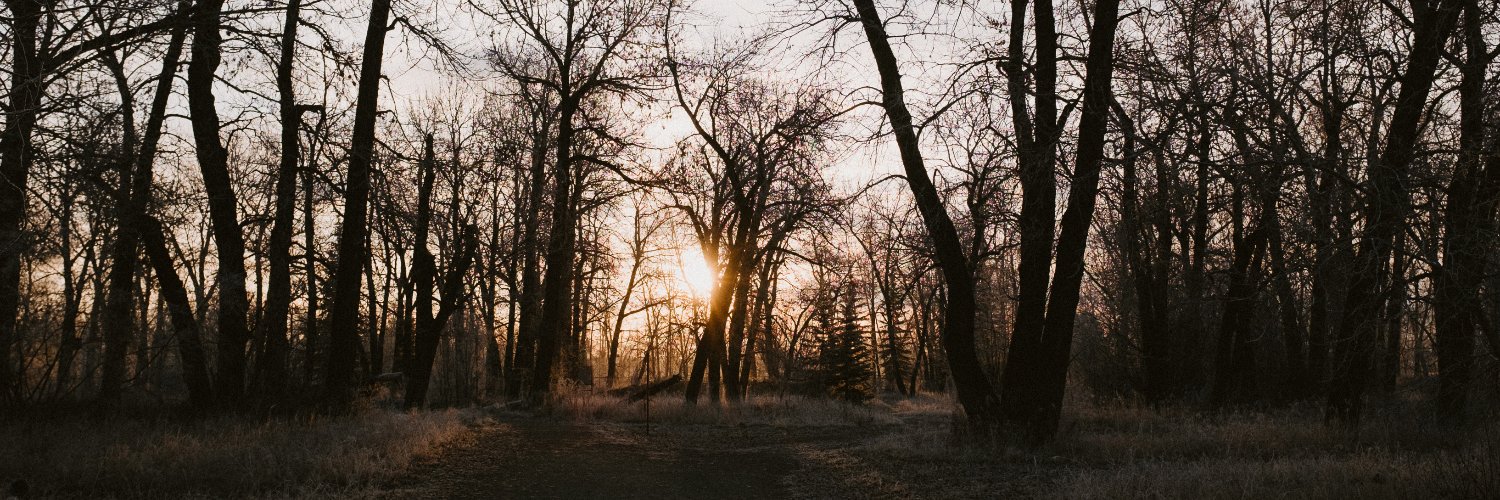 allisonseto's profile banner image