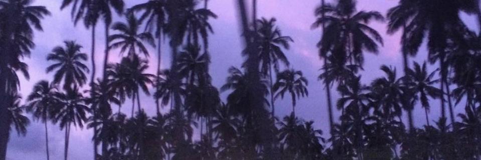 R00IB0S's profile banner image