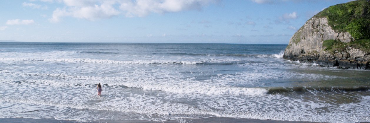 kate cheeseman banner