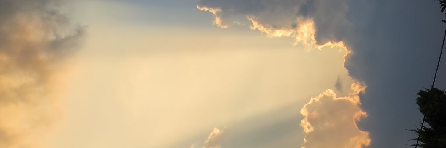 Jesscronward's profile banner image
