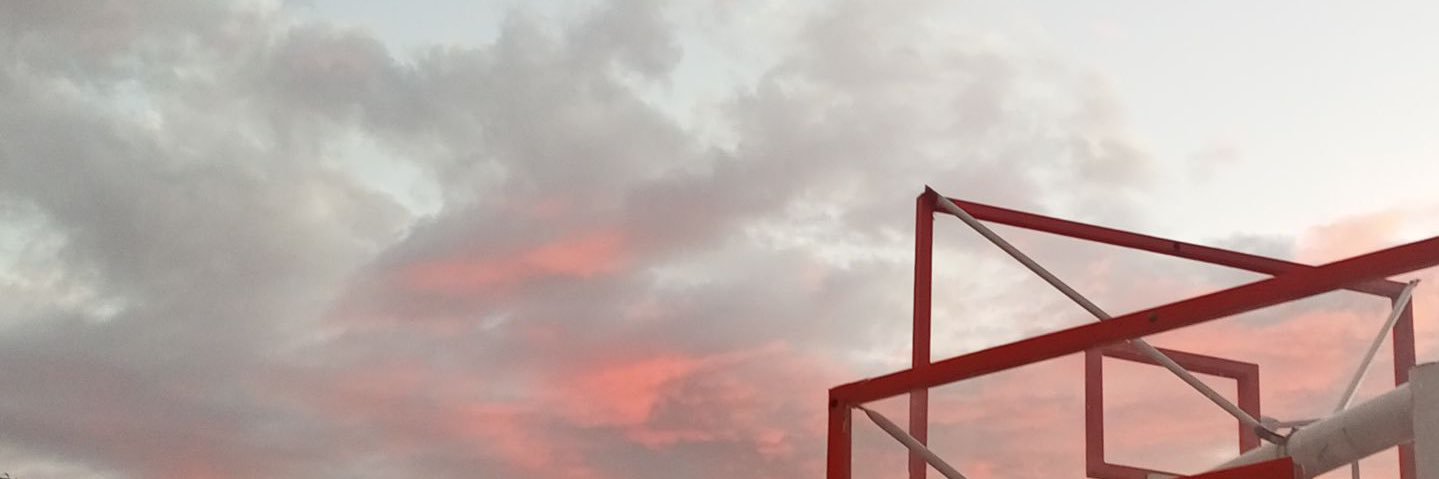 hayatt banner