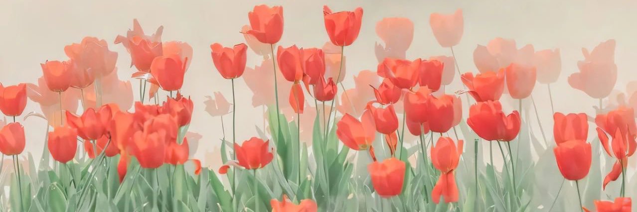 청주시디(CD)_저니🩵 banner