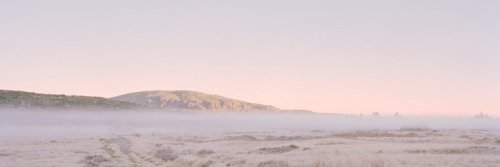 jennifwei's profile banner image