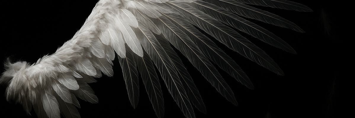 #MaybeRana banner