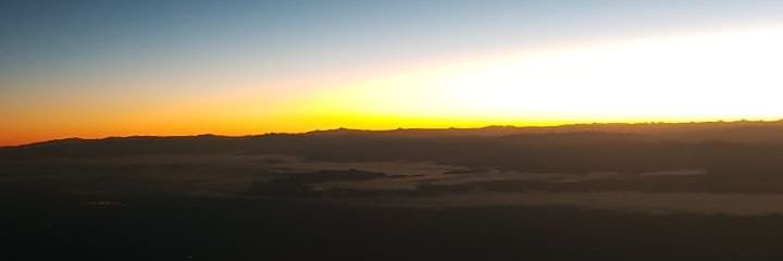 ElviaCarrillo's profile banner image