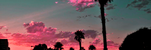 h banner