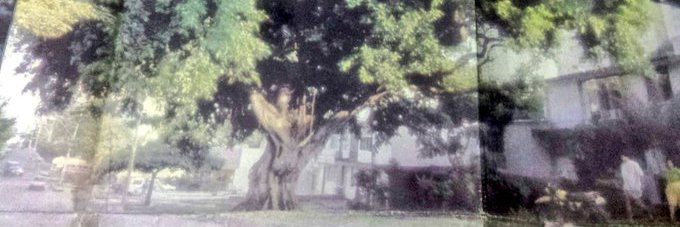jeronimo_botero's profile banner image