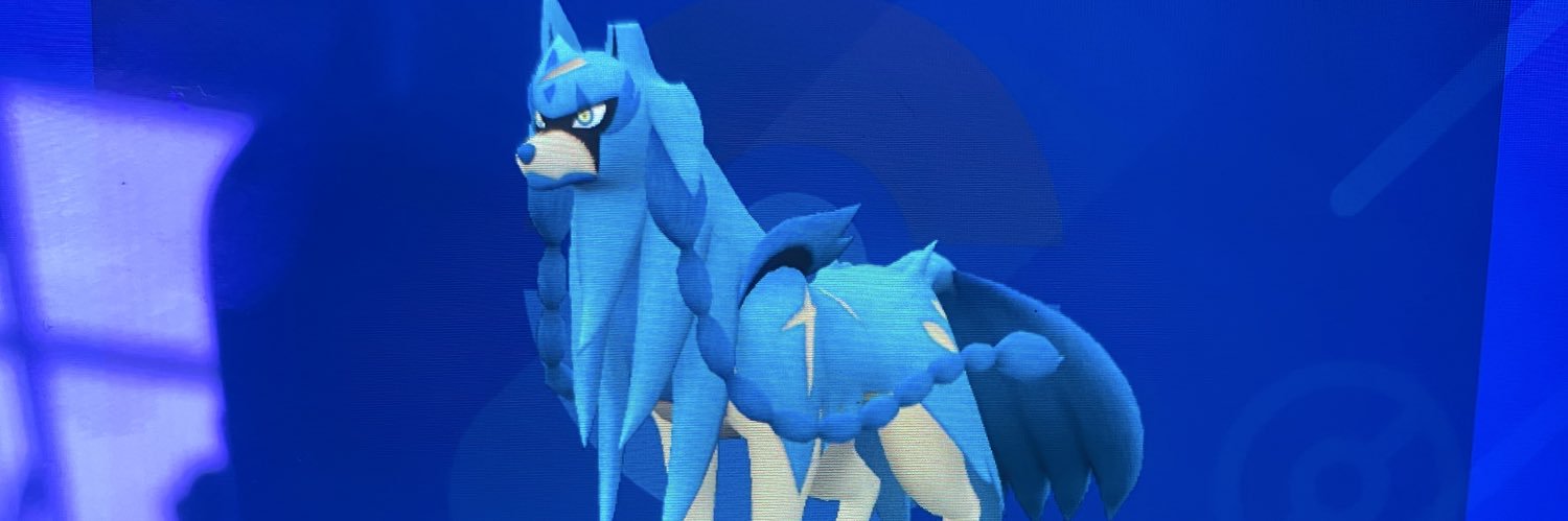 renren__XL's profile banner image
