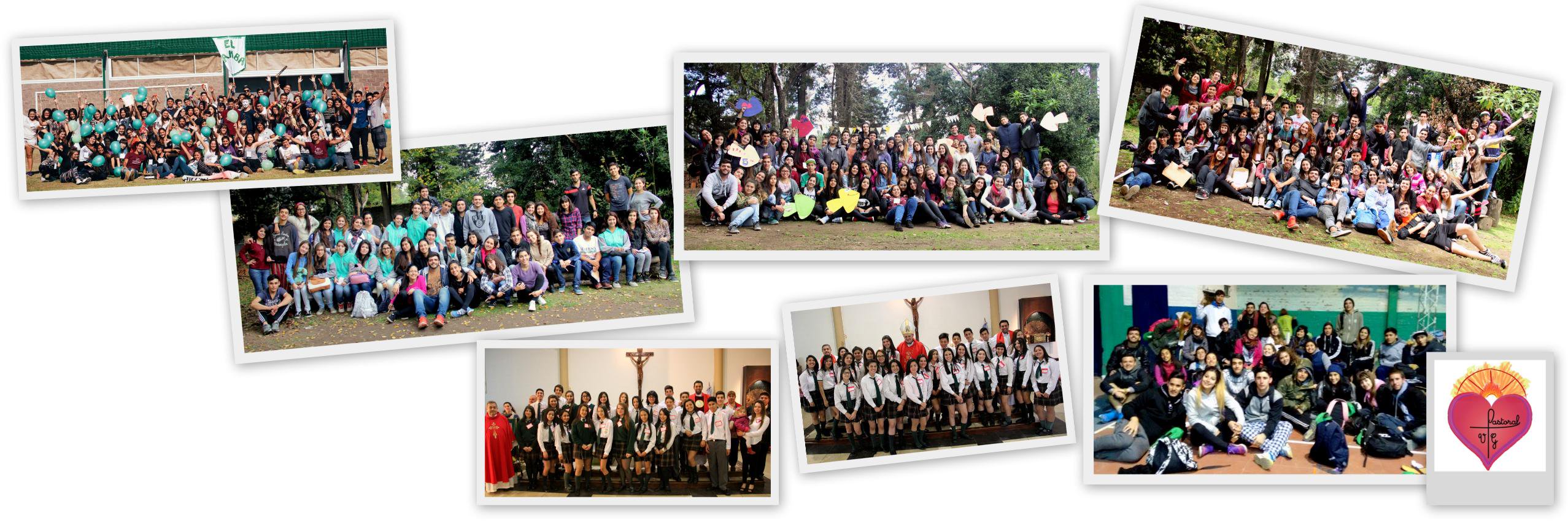 PastoralGamba's profile banner image