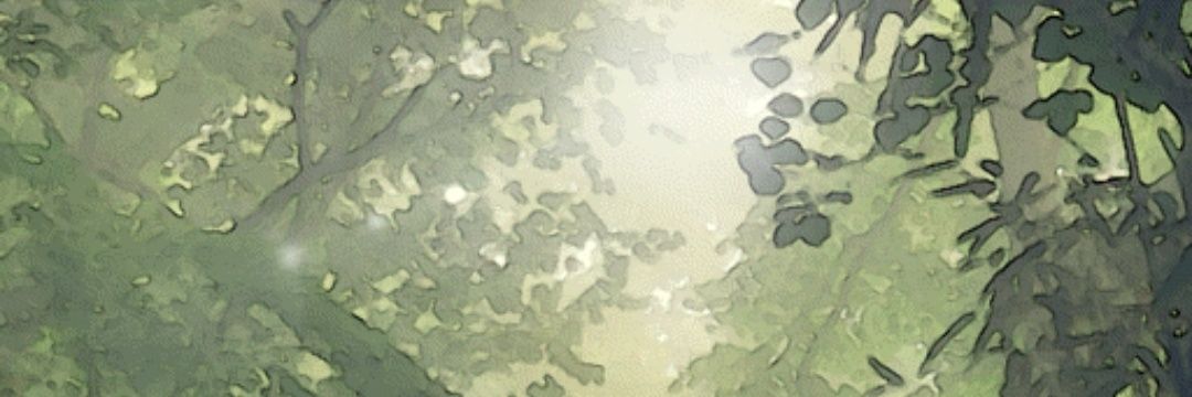 ViVirunyl banner