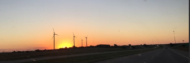 liztowles's profile banner image
