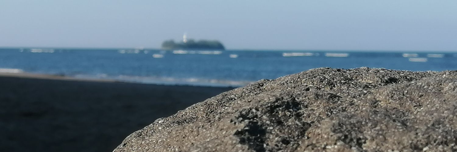 Alaanutrera's profile banner image