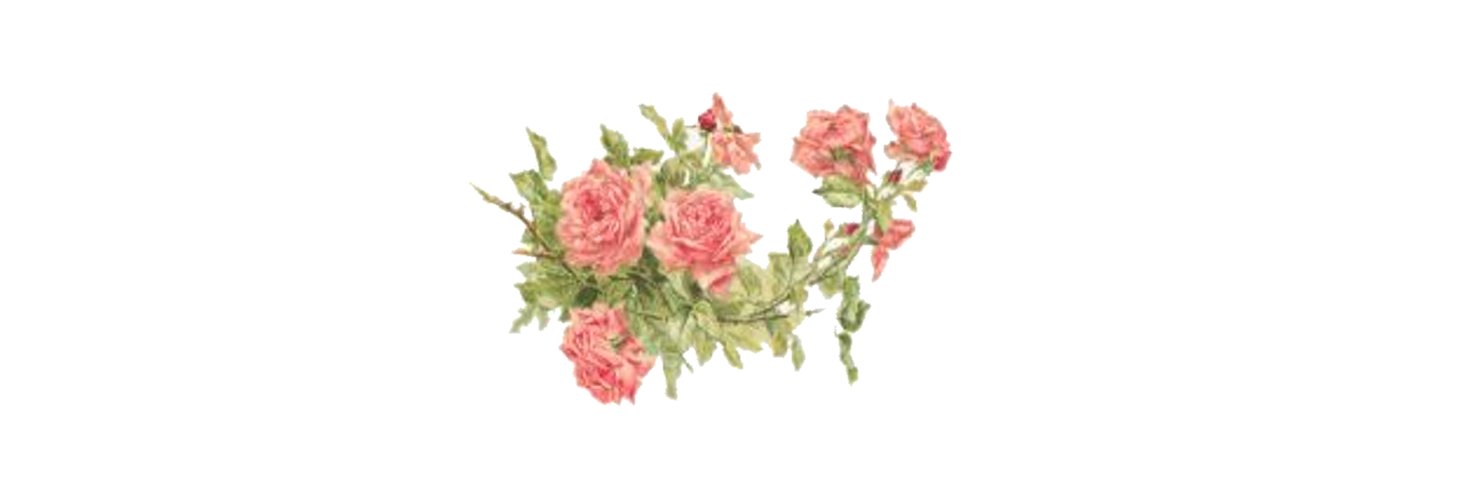 rompakhati's profile banner image
