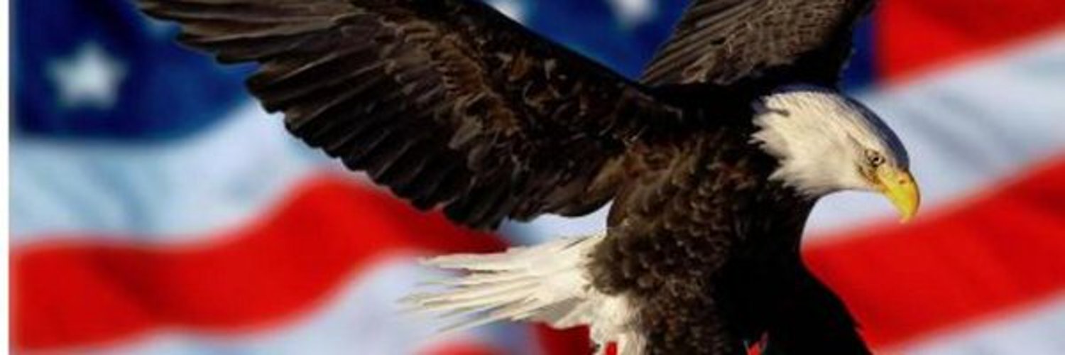Susan_45156's profile banner image